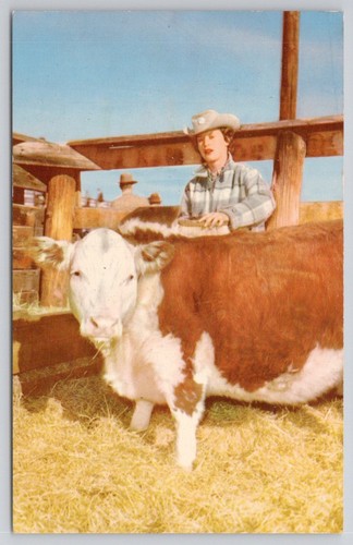 1951 cowgirl hereford calf - &,