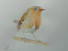 Robin, Birds, Watercolor