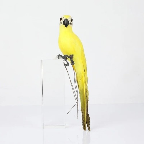 Decorative parrot bird - parrot,