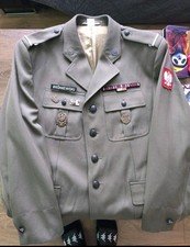 Polish Army Modern Official