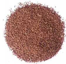 Evening Primrose Seeds