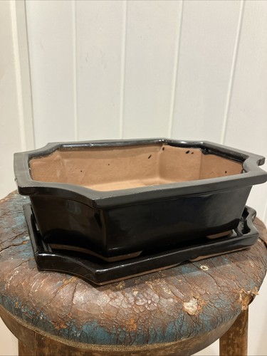 Black glazed ceramic bonsai - black,