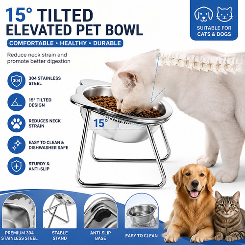 Pet cat dog - cat, stand