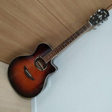 YAMAHA APX500