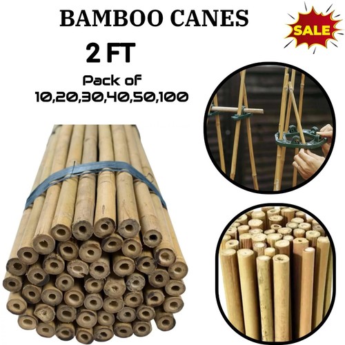2ft bamboo garden canes - garden,