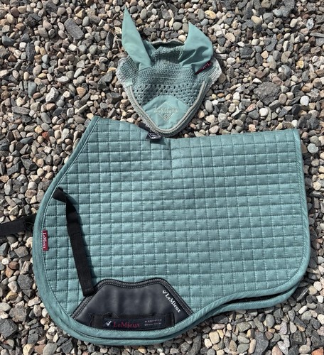 Mieux sage green saddle - le,