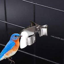 Birds Food Holder Clips Cuttlefish Holders For Caged Birds Budgie Canary