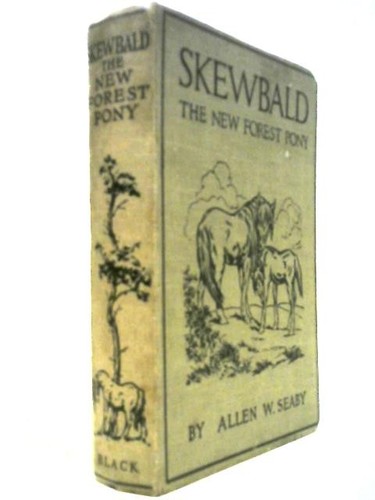 Skewbald the new forest pony - skewbald,