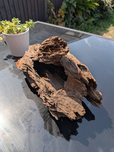 Aquarium bogwood cave - aquarium,