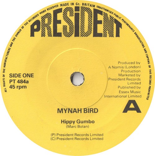 Mynah bird hippy - -,