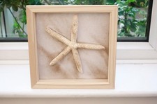 Dried finger starfish art
