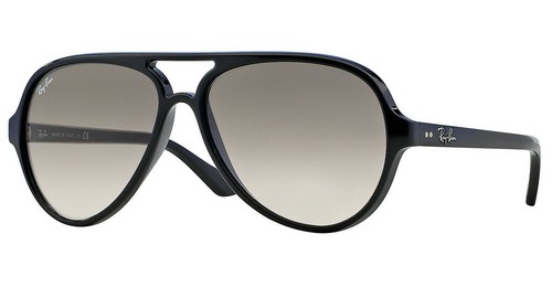 New ray ban - ban, cats