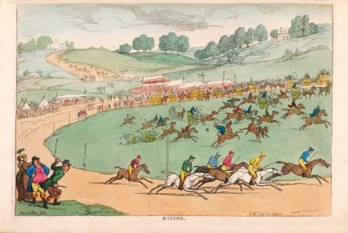 Horse racing cartoon - horse,