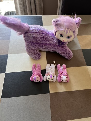 Kitty surprise purple cat - surprise, ks
