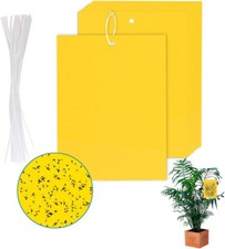 20 Sticky Fly Traps 20x10cm