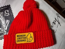 Beanie, Unisex, One Size, Stretchy, Chunky Knit, Red with Pompom, Warm, Michigan