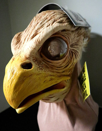 Eagle bird dino monster - eagle,