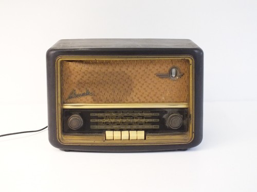Vintage bush type - bush,