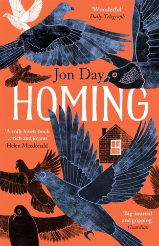 Homing pigeons dwellings - homing, on