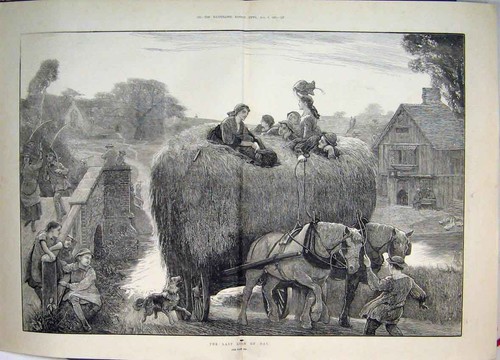 Old antique print - antique, hay