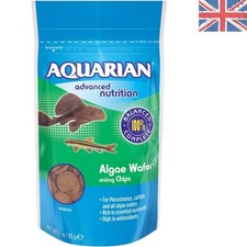 Algae Eater Fish Food