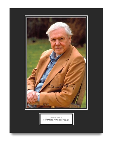 Sir david attenborough - sir,