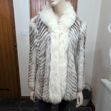 Beautiful genuine Arctic and