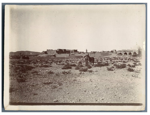 Algeria arabian rider in - rider,