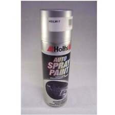 Holts Professional Car Silver Metallic Spray Paint 300ml   HSILM17