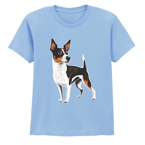 Rat terrier dog dogs animals - dog,
