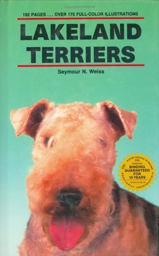 Lakeland terriers dog - lakeland,