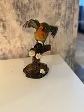 Taxidermy Small Parrot/