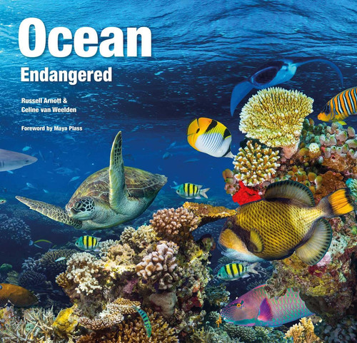 Ocean endangered abandoned - ocean, (abandoned