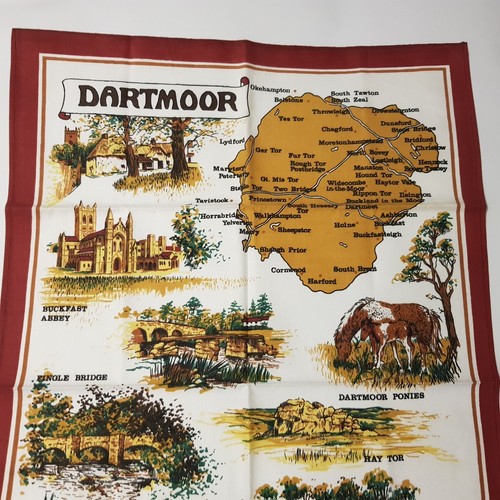 Dartmoor map cotton - dartmoor,