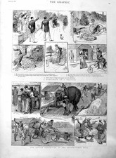 Old Antique Print 1886 Ceylon Exhibition Agricultural Honeymoon Tricycle 19th