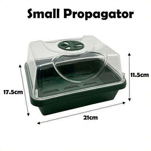 Propagator small rigid - propagator,