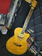 Washburn electro acoustic - washburn,