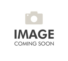 BNWOT DISNEY PARKS ADULT