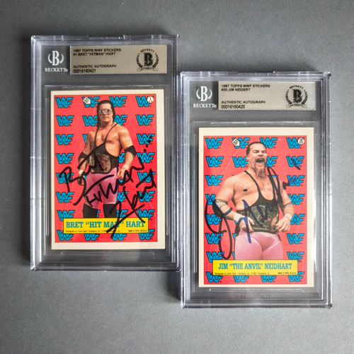 Bgs 1987 wwf - wwf, hart