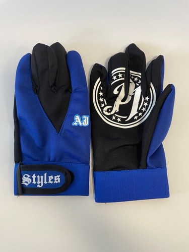 Authentic styles wrestling - aj,