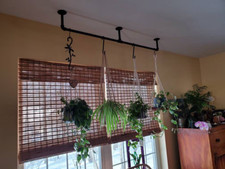 Wall & Ceiling Mount Plant