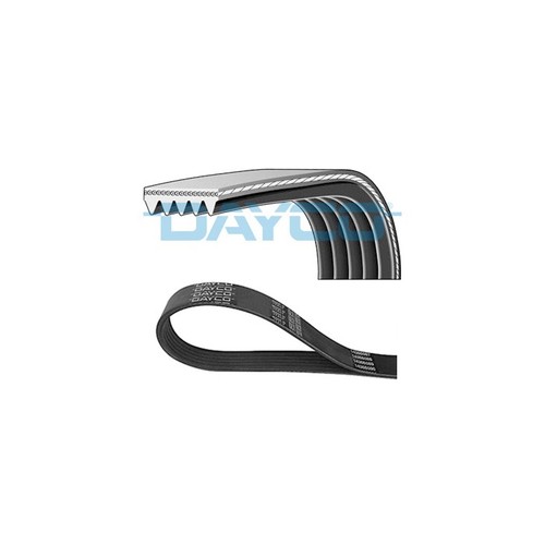 Accessory belt for - belt, peugeot