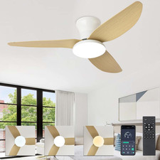 100cm Ceiling Fans with Lights