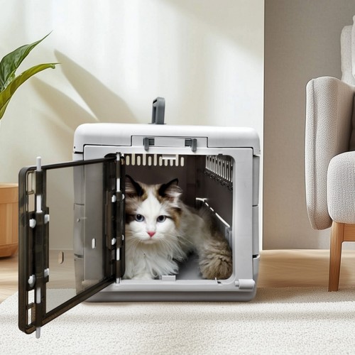 Lightweight kitten transport - lightweight,