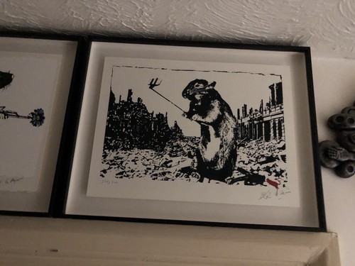 Blek rat after the - blek,