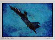 359006 Grumman F 14B Tomcat US