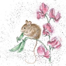 Field Mouse Blank Birthday