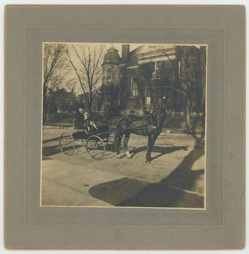 Horse drawn carriage man - horse,