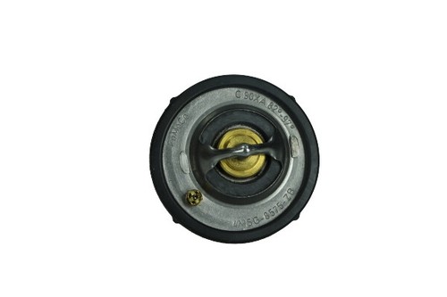 Genuine ford thermostat - genuine,