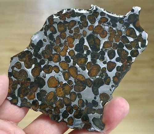 Large sericho pallasite - large,